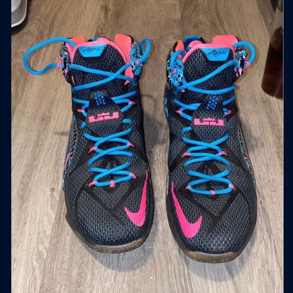 Lebron 12s